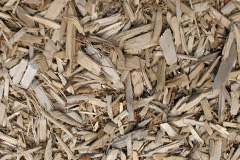 biomass boilers Trelissick